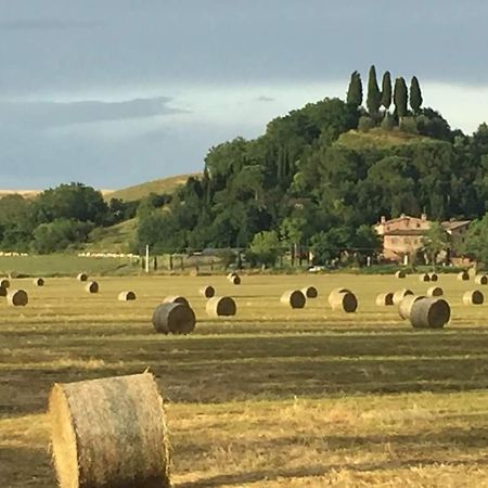 Апартаменти Fattoria Le Pietre Vive Di Montaperti Monteaperti  Екстер'єр фото