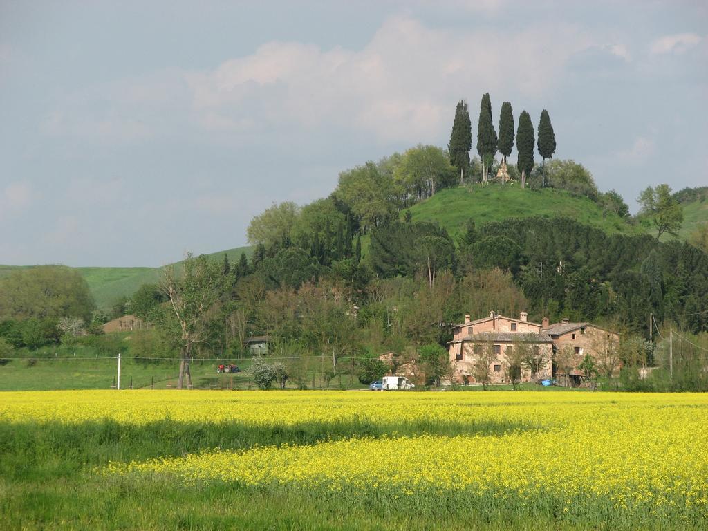 Апартаменти Fattoria Le Pietre Vive Di Montaperti Monteaperti  Екстер'єр фото