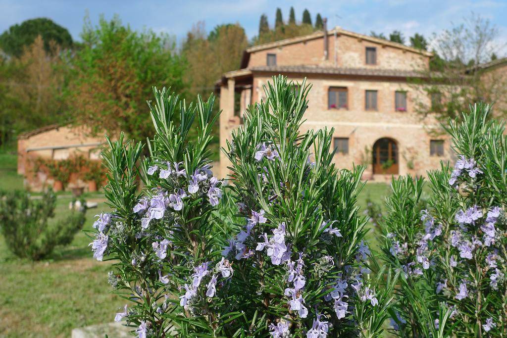 Апартаменти Fattoria Le Pietre Vive Di Montaperti Monteaperti  Екстер'єр фото