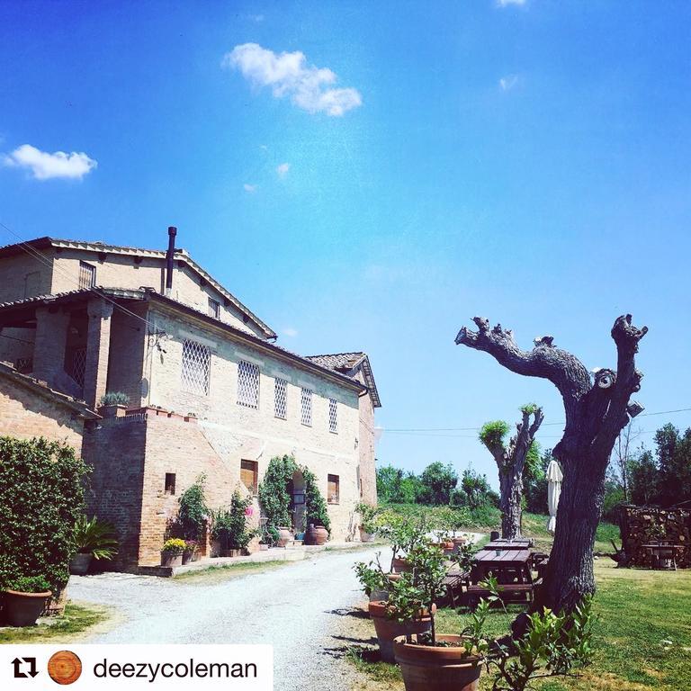 Апартаменти Fattoria Le Pietre Vive Di Montaperti Monteaperti  Екстер'єр фото
